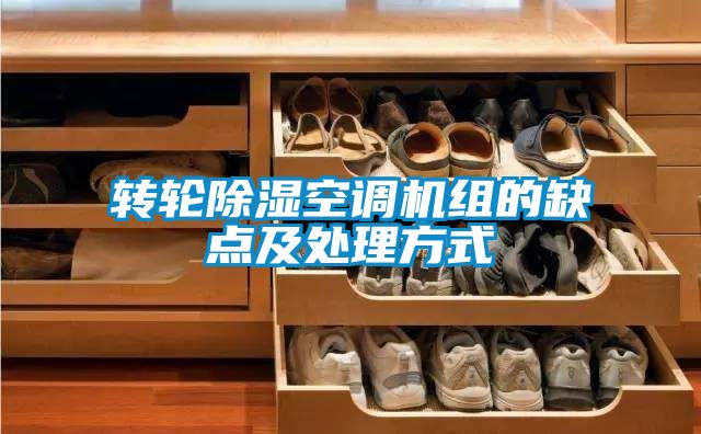 轉輪除濕空調機組的缺點及處理方式