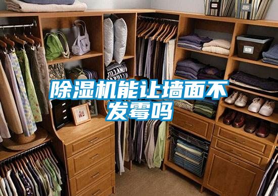 除濕機能讓墻面不發霉嗎