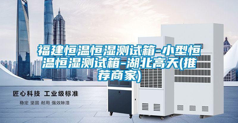 福建恒溫恒濕測試箱-小型恒溫恒濕測試箱-湖北高天(推薦商家)