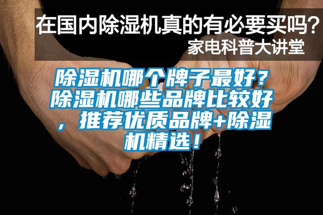除濕機哪個牌子最好？除濕機哪些品牌比較好，推薦優質品牌+除濕機精選！
