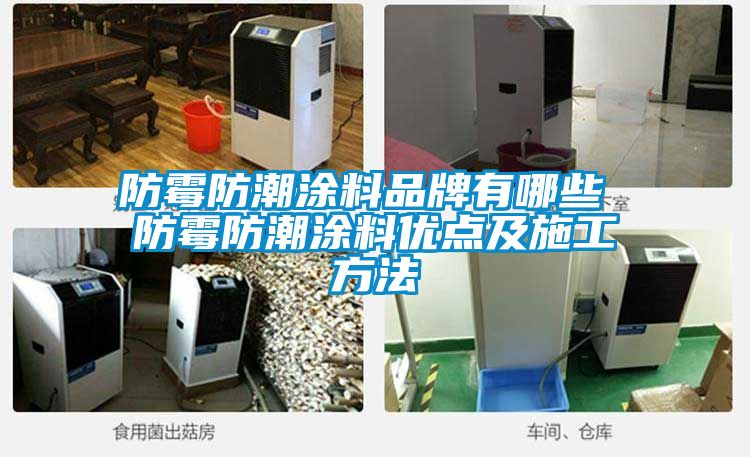 防霉防潮涂料品牌有哪些 防霉防潮涂料優點及施工方法
