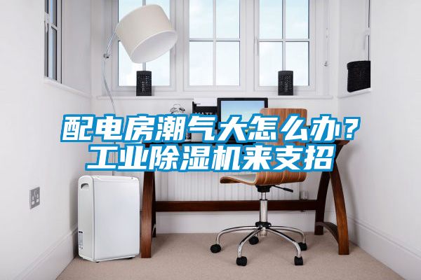 配電房潮氣大怎么辦？工業(yè)除濕機來支招