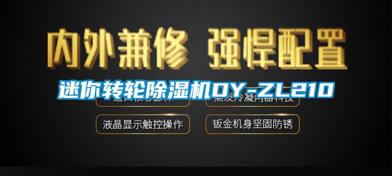 迷你轉(zhuǎn)輪除濕機(jī)DY-ZL210