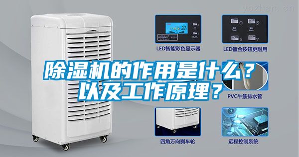 除濕機的作用是什么？以及工作原理？