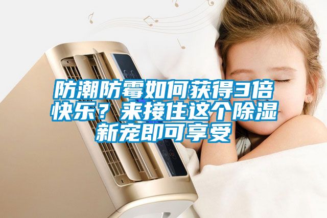 防潮防霉如何獲得3倍快樂？來接住這個除濕新寵即可享受