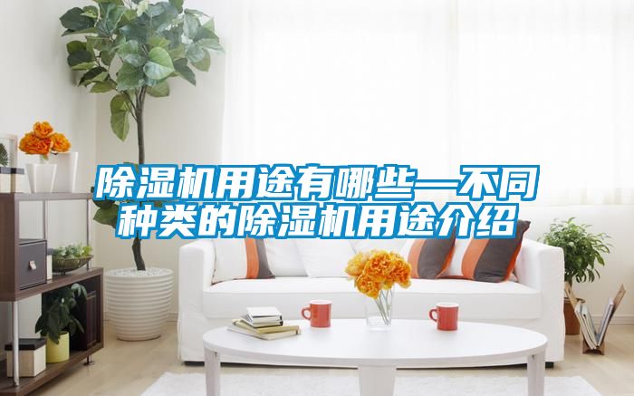 除濕機用途有哪些—不同種類的除濕機用途介紹