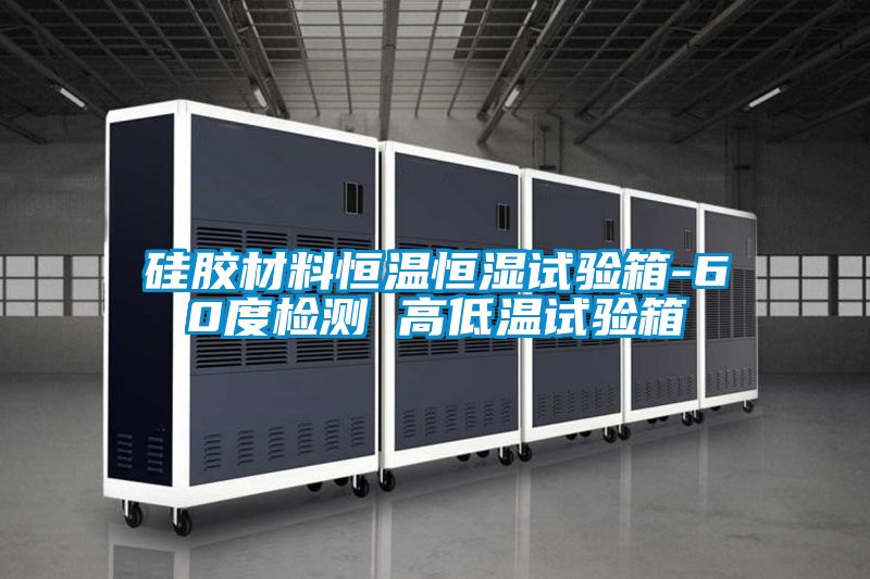硅膠材料恒溫恒濕試驗箱-60度檢測 高低溫試驗箱