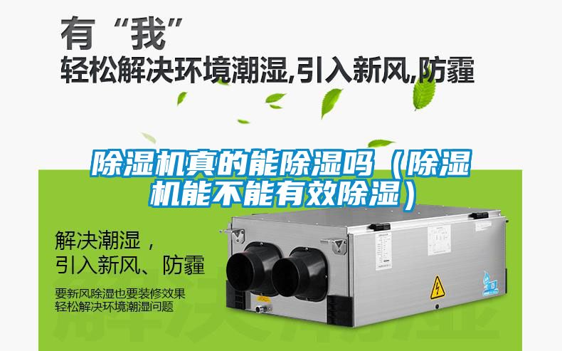 除濕機真的能除濕嗎（除濕機能不能有效除濕）