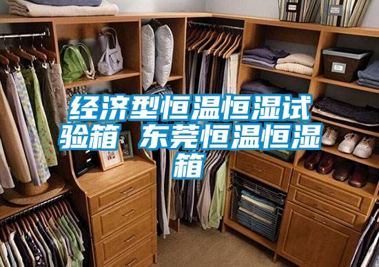 經濟型恒溫恒濕試驗箱 東莞恒溫恒濕箱