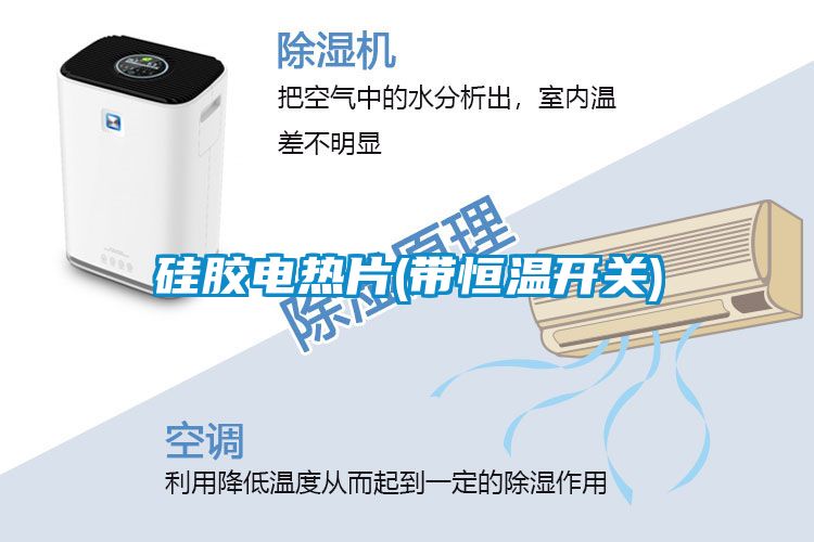 硅膠電熱片(帶恒溫開(kāi)關(guān))