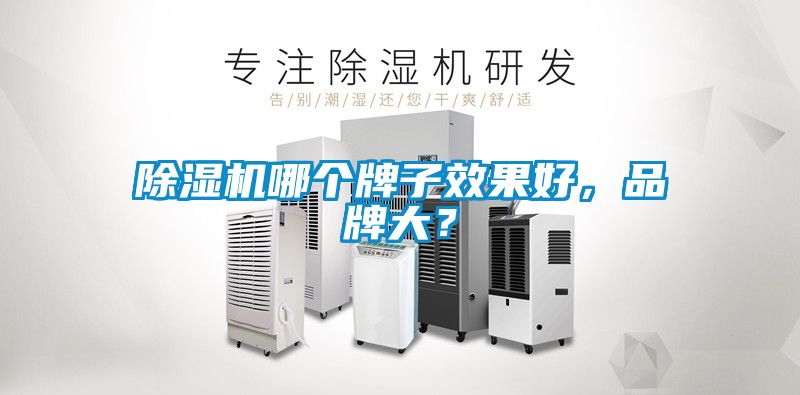 除濕機哪個牌子效果好，品牌大？