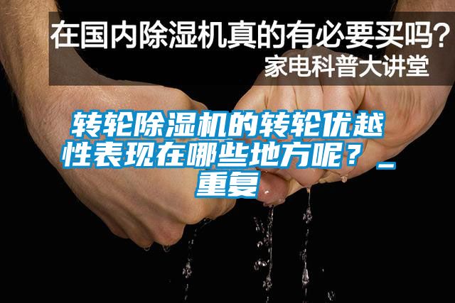 轉(zhuǎn)輪除濕機的轉(zhuǎn)輪優(yōu)越性表現(xiàn)在哪些地方呢？_重復(fù)
