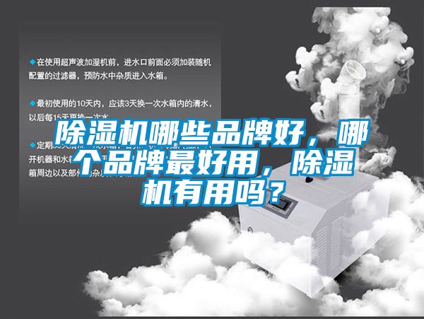 除濕機(jī)哪些品牌好，哪個(gè)品牌最好用，除濕機(jī)有用嗎？