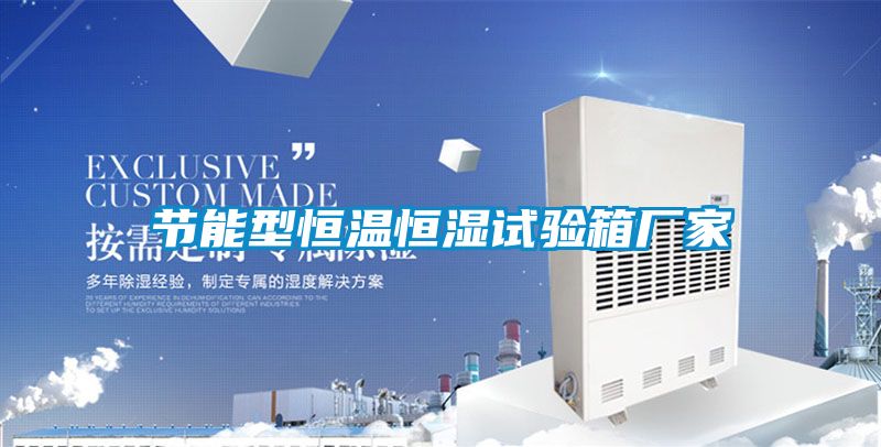 節(jié)能型恒溫恒濕試驗(yàn)箱廠家