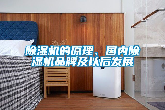 除濕機的原理、國內除濕機品牌及以后發展