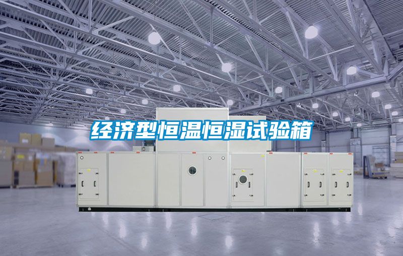 經濟型恒溫恒濕試驗箱