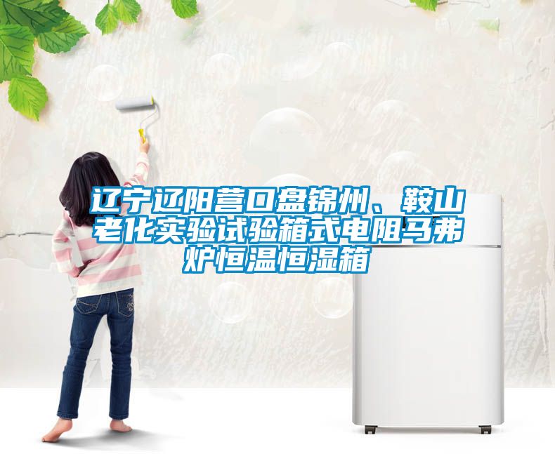 遼寧遼陽營口盤錦州、鞍山老化實驗試驗箱式電阻馬弗爐恒溫恒濕箱