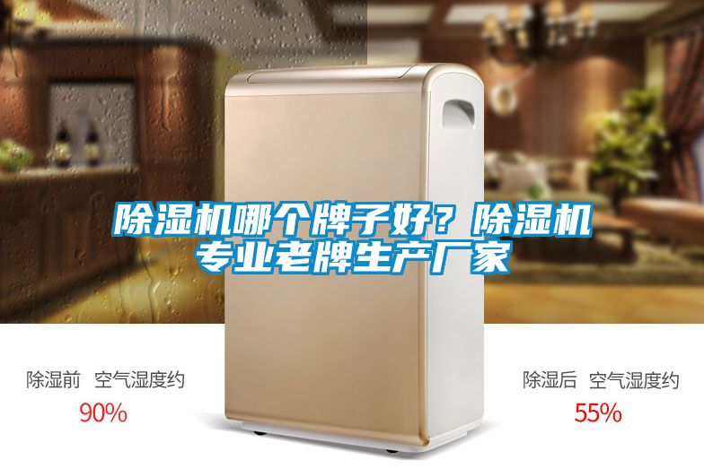 除濕機哪個牌子好？除濕機專業老牌生產廠家