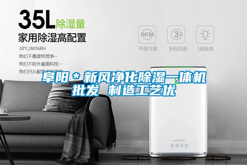 阜陽＊新風(fēng)凈化除濕一體機(jī)批發(fā) 制造工藝優(yōu)