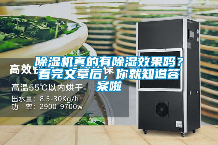 除濕機(jī)真的有除濕效果嗎？看完文章后，你就知道答案啦