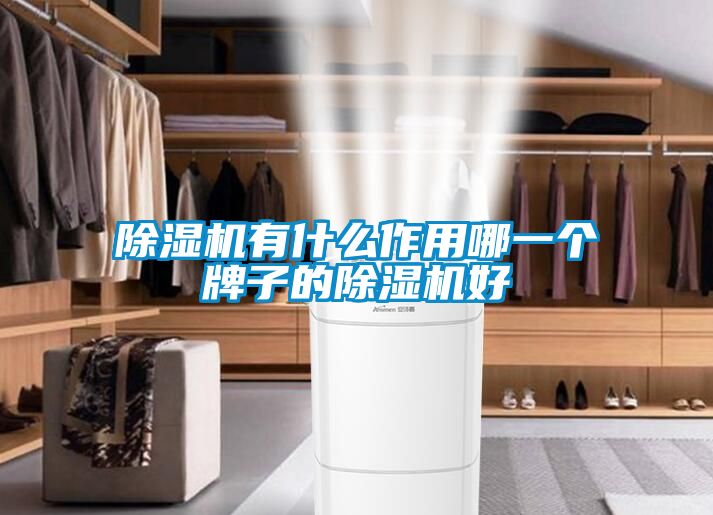 除濕機(jī)有什么作用哪一個(gè)牌子的除濕機(jī)好