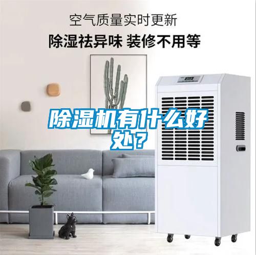 除濕機(jī)有什么好處？