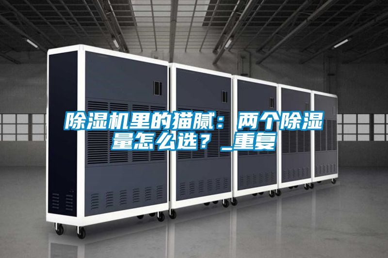 除濕機里的貓膩：兩個除濕量怎么選？_重復