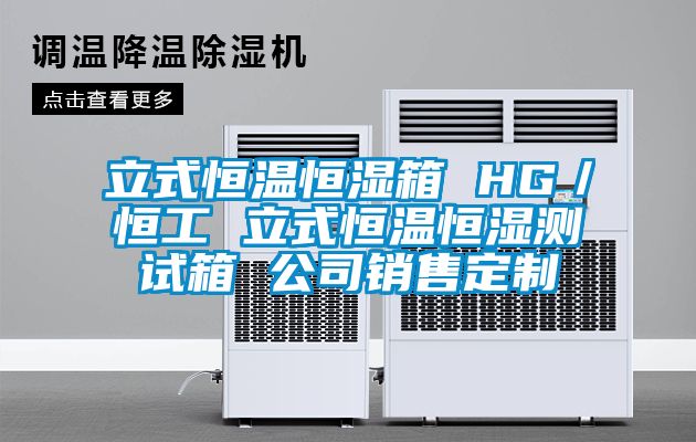 立式恒溫恒濕箱 HG／恒工 立式恒溫恒濕測試箱 公司銷售定制