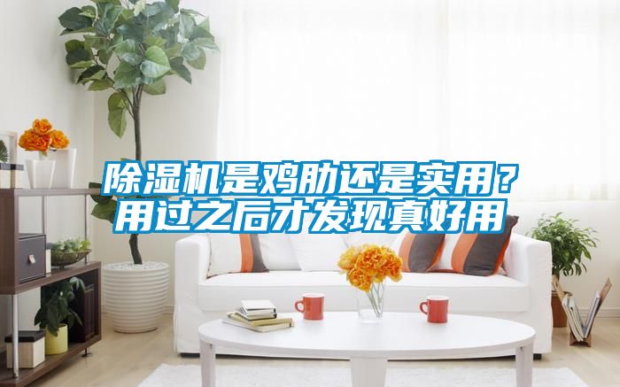 除濕機是雞肋還是實用？用過之后才發現真好用