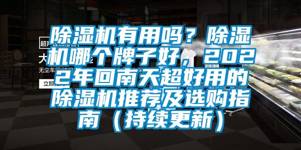 除濕機有用嗎？除濕機哪個牌子好，2022年回南天超好用的除濕機推薦及選購指南（持續更新）