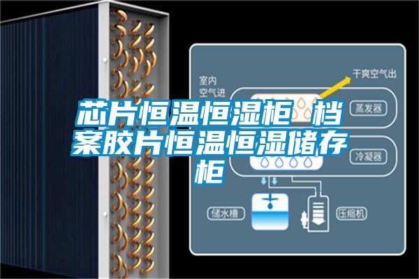 芯片恒溫恒濕柜 檔案膠片恒溫恒濕儲存柜