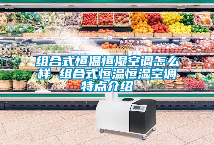 組合式恒溫恒濕空調怎么樣 組合式恒溫恒濕空調特點介紹