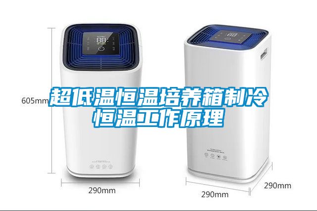 超低溫恒溫培養箱制冷恒溫工作原理