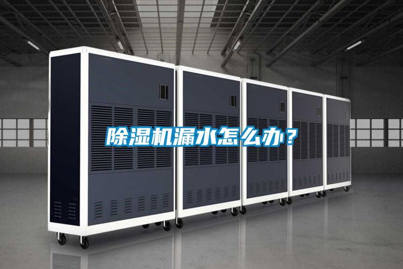 除濕機漏水怎么辦？