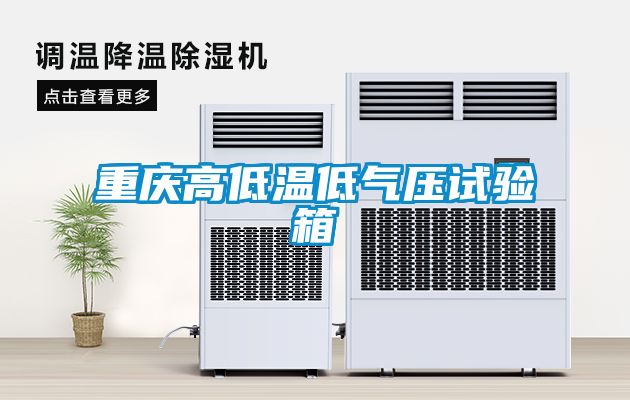 重慶高低溫低氣壓試驗箱