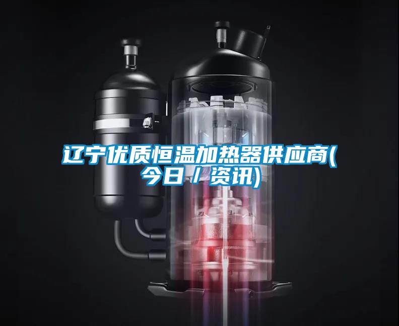 遼寧優質恒溫加熱器供應商(今日／資訊)