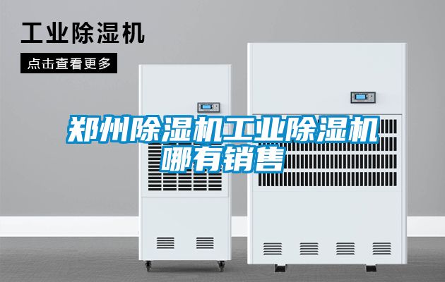 鄭州除濕機工業(yè)除濕機哪有銷售