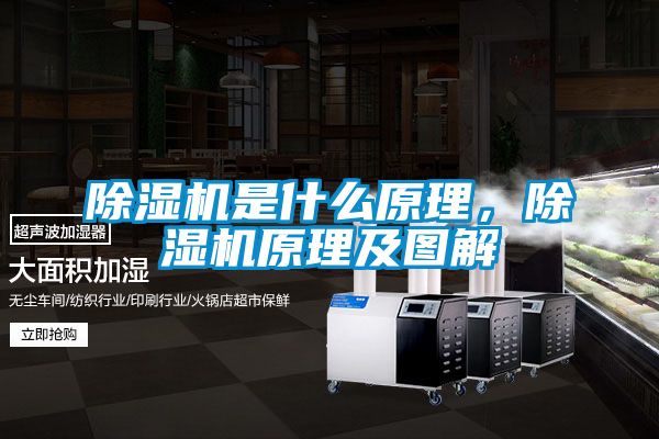 除濕機(jī)是什么原理，除濕機(jī)原理及圖解