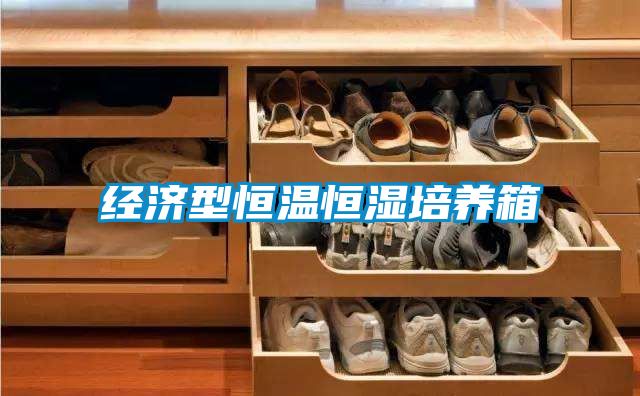 經濟型恒溫恒濕培養箱