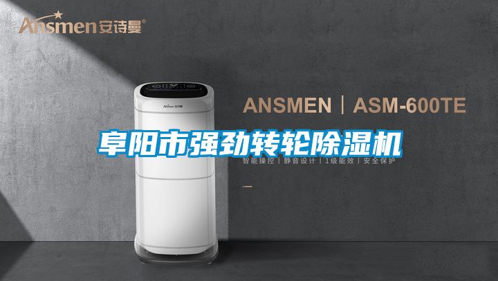 阜陽市強勁轉輪除濕機