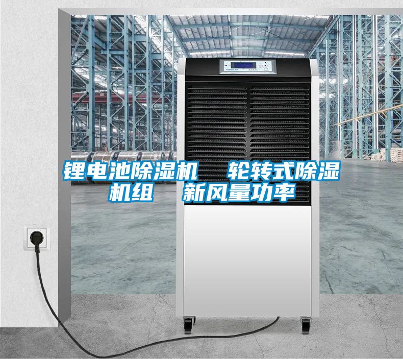 鋰電池除濕機  輪轉(zhuǎn)式除濕機組  新風(fēng)量功率