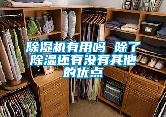 除濕機有用嗎 除了除濕還有沒有其他的優點