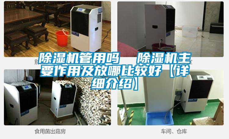 除濕機管用嗎  除濕機主要作用及放哪比較好【詳細介紹】