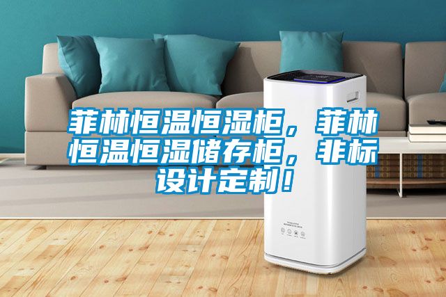 菲林恒溫恒濕柜，菲林恒溫恒濕儲存柜，非標設計定制！