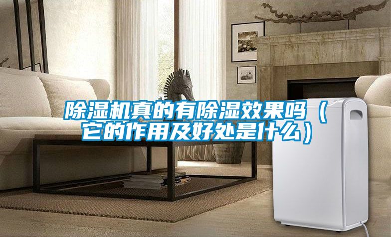 除濕機真的有除濕效果嗎（它的作用及好處是什么）