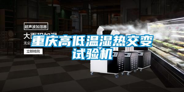 重慶高低溫濕熱交變試驗機
