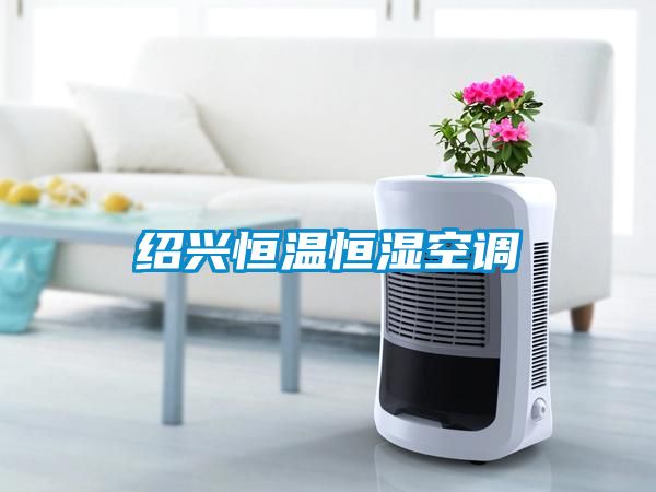 紹興恒溫恒濕空調