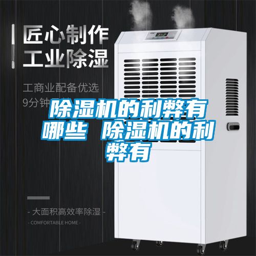 除濕機(jī)的利弊有哪些 除濕機(jī)的利弊有