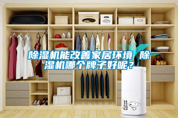 除濕機能改善家居環(huán)境 除濕機哪個牌子好呢？