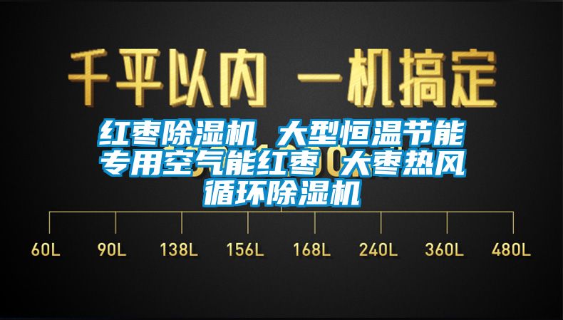 紅棗除濕機 大型恒溫節能專用空氣能紅棗 大棗熱風循環除濕機